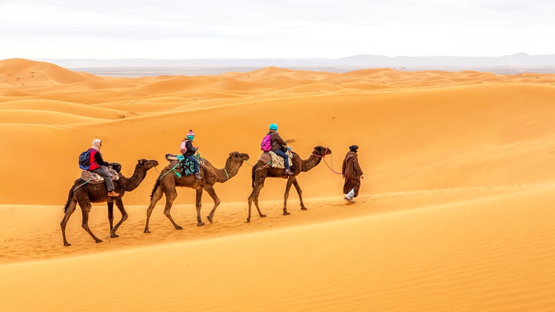 travel to desert marrakech sahara desert morocco